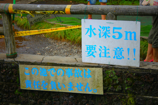 e0201121_111526.jpg