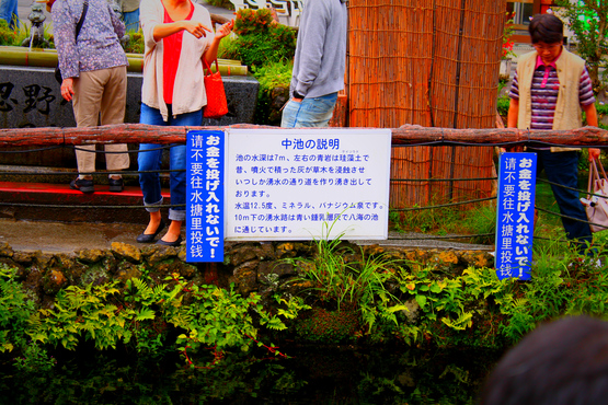 e0201121_1152964.jpg