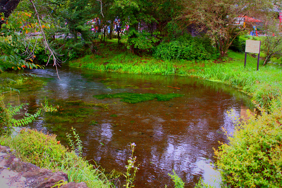 e0201121_118250.jpg
