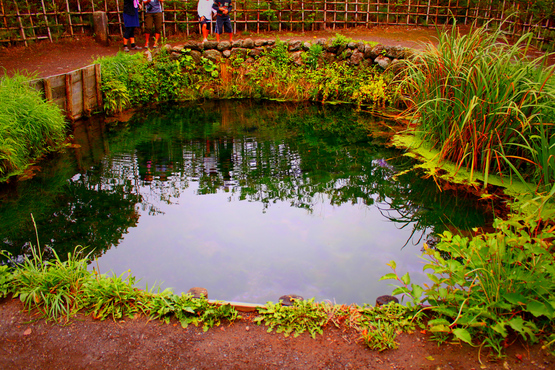 e0201121_12034.jpg