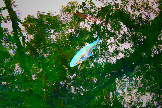e0201121_164970.jpg