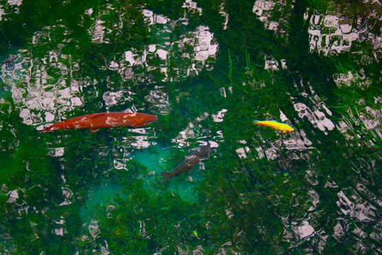 e0201121_193144.jpg
