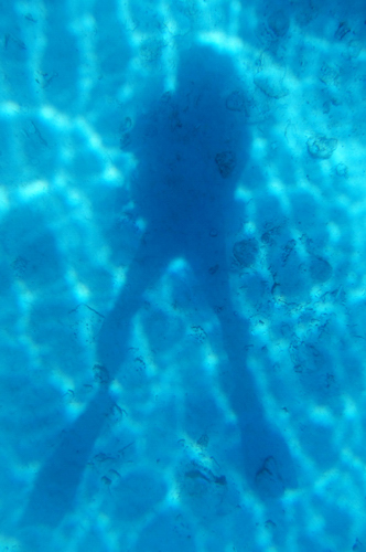 b0158923_20525261.jpg