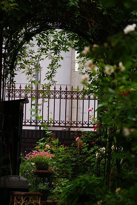 f0170524_13251951.jpg