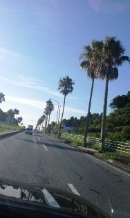 c0109726_1411099.jpg