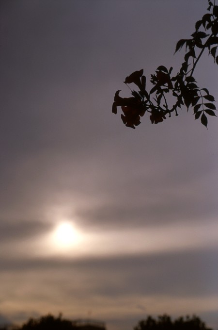 2011-8-31　夏逝きて_c0136330_14313068.jpg
