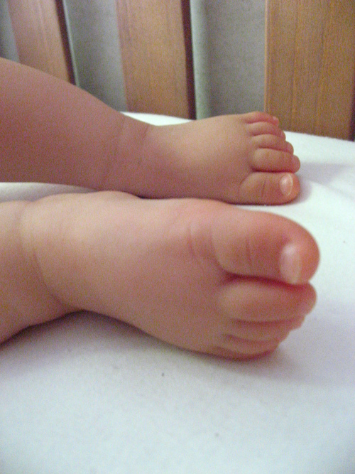 b0082232_2364688.jpg