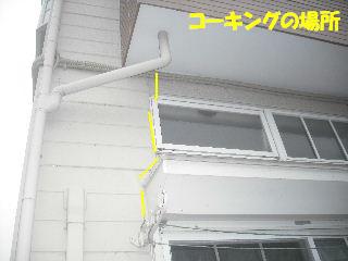 今日も二ヵ所_f0031037_21261723.jpg