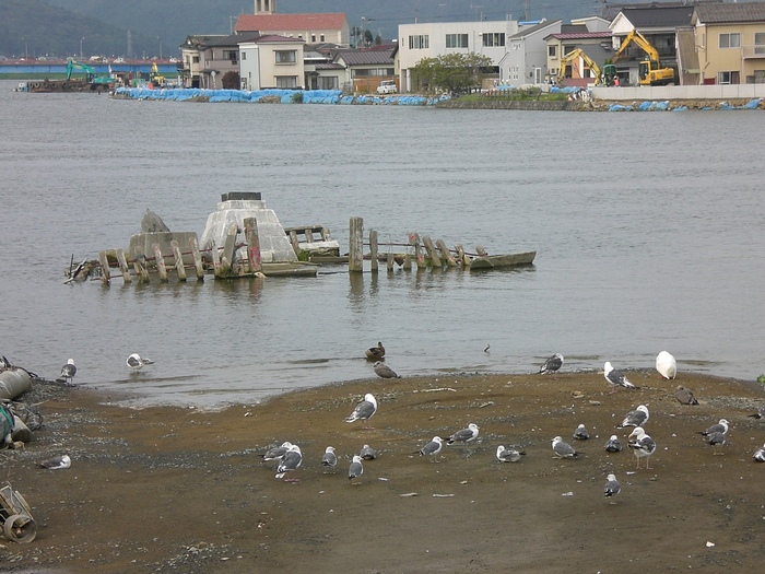 　　石巻　　満月　8月14日〜　_a0171939_13243278.jpg