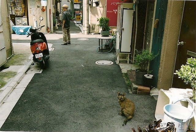 JR東中野駅・ムーンロードうろうろ_a0009142_22505652.jpg