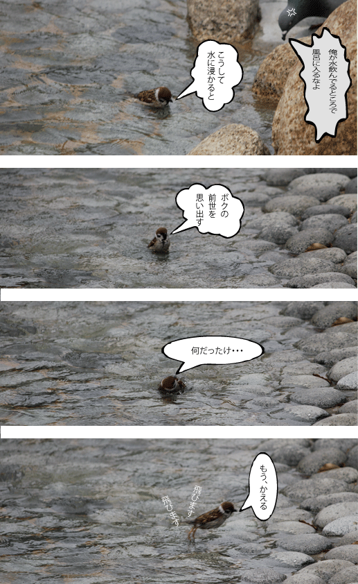 熱い時には、ガングロひつじ!_d0227044_17421399.gif