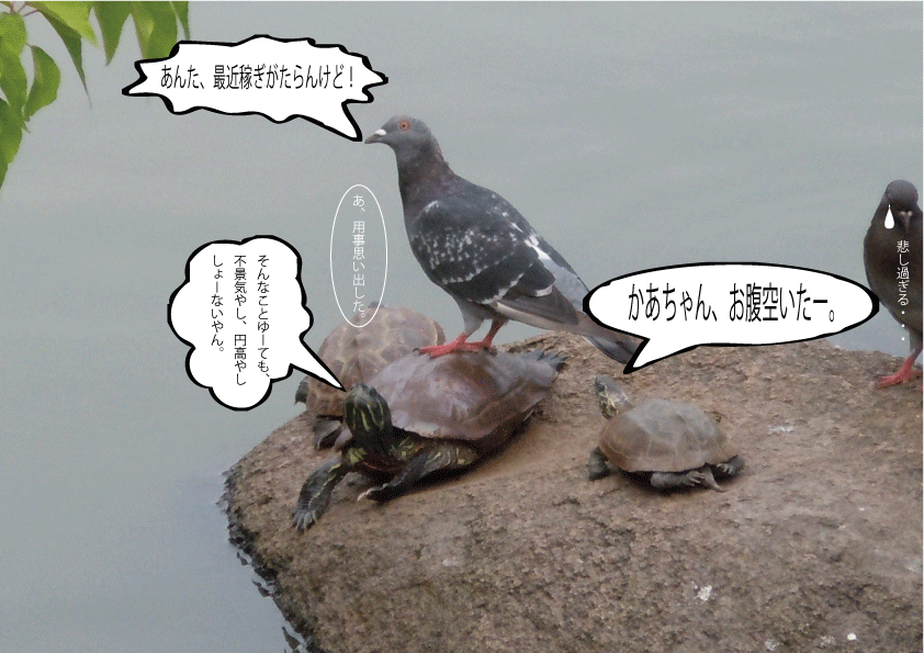 親亀の悲しい背中は・・・涙_d0227044_18503353.gif
