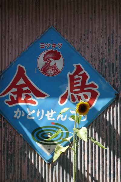 暑くても温泉_b0016049_2250347.jpg