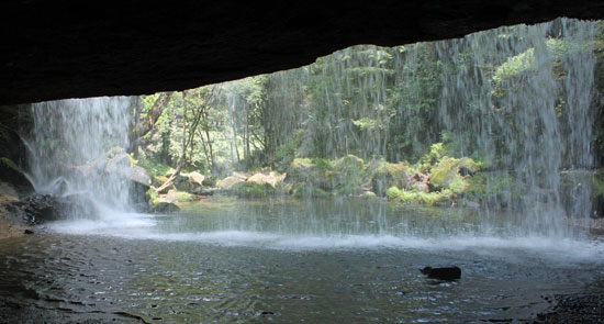 b0016557_21132738.jpg
