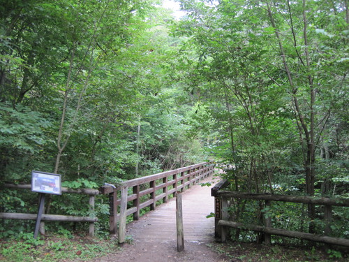 f0236260_10241785.jpg