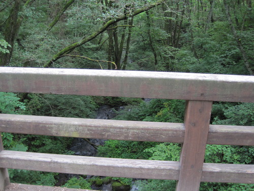 f0236260_10264638.jpg