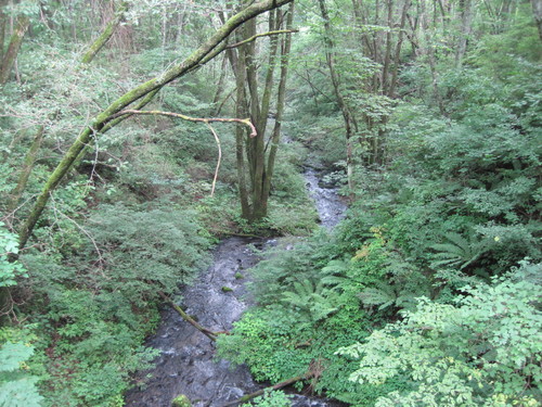 f0236260_10364673.jpg
