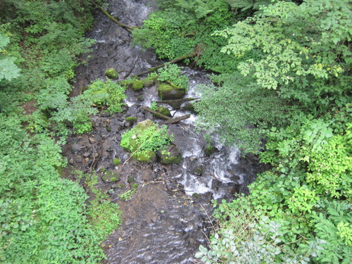 f0236260_1038371.jpg