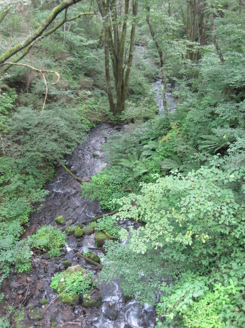 f0236260_10415471.jpg