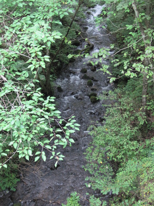 f0236260_10452781.jpg