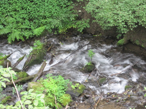 f0236260_1046233.jpg