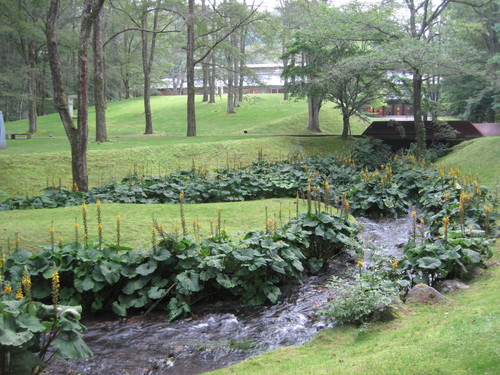 f0236260_11204297.jpg