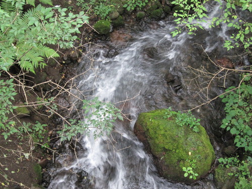 f0236260_12161738.jpg