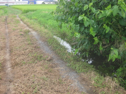 企画「大田原をもっと知ろう!」・・・その11、若松町①。_b0063162_1352070.jpg