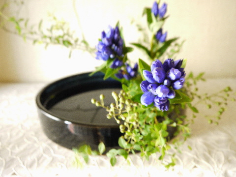 リンドウを生ける その後のお花は おやつのお花 きれい カワイイ いとおしいをデザインしましょう