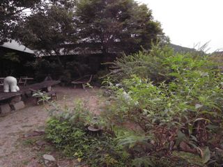 a0168068_2120415.jpg