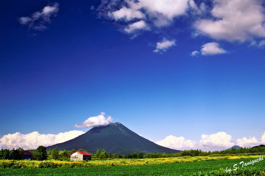 蝦夷富士百景　NO,26　赤い屋根の小屋_b0076972_1144091.jpg