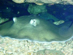c0039073_20322416.jpg