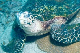 c0039073_20324967.jpg