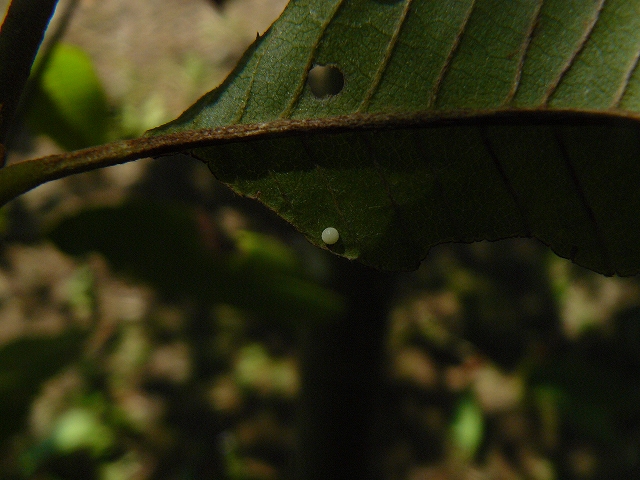 d0019074_93241.jpg