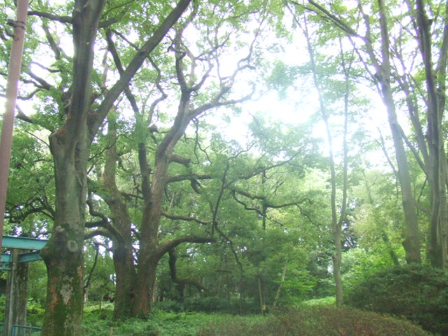 e0068480_2313366.jpg