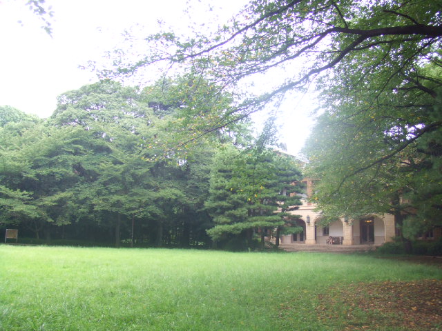 e0068480_2324924.jpg