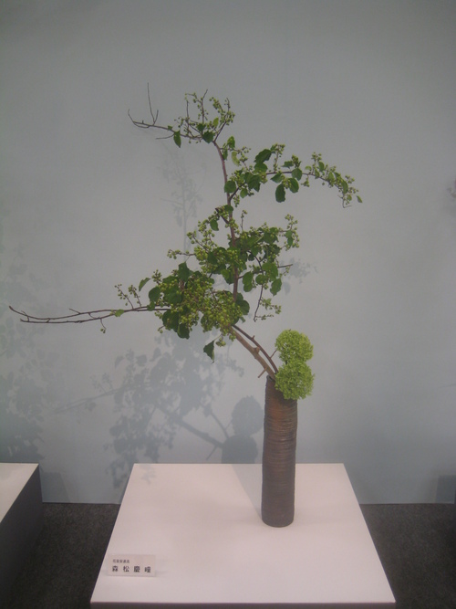 福岡三越へ。 (西日本華道連盟いけばな展)_d0195183_143621.jpg