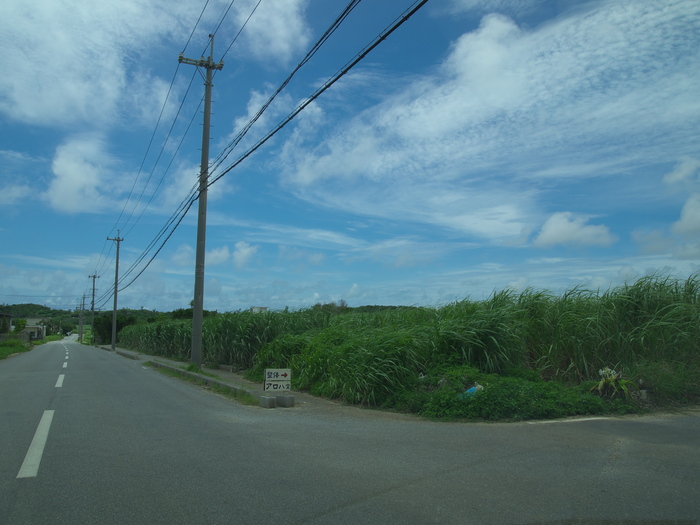 d0251583_1623652.jpg