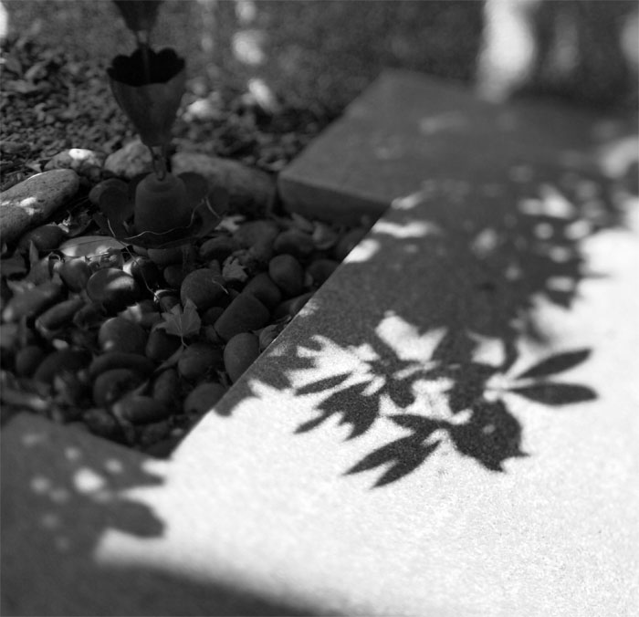c0229384_14262960.jpg
