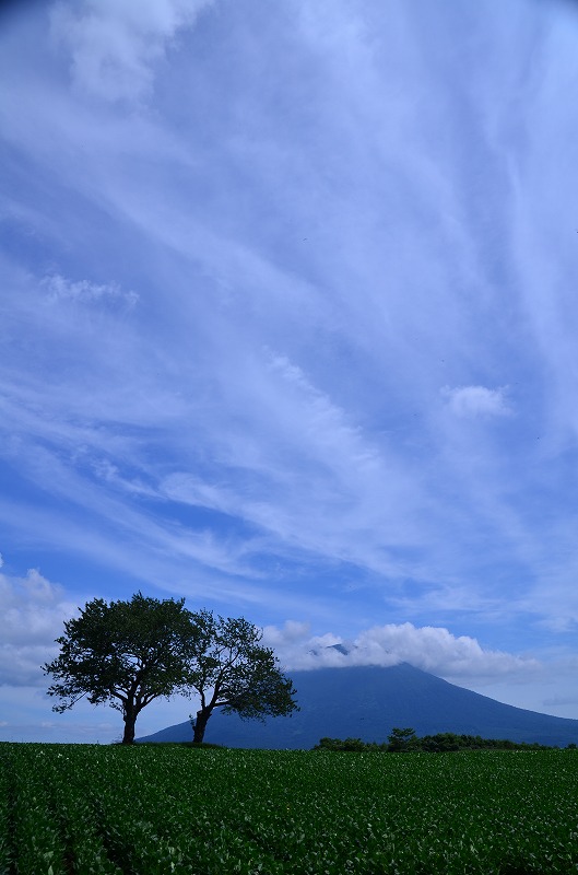 ニセコの風景_e0130986_21383060.jpg