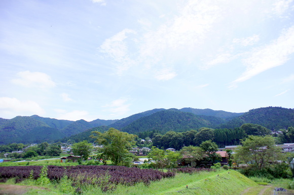 d0146888_19411082.jpg