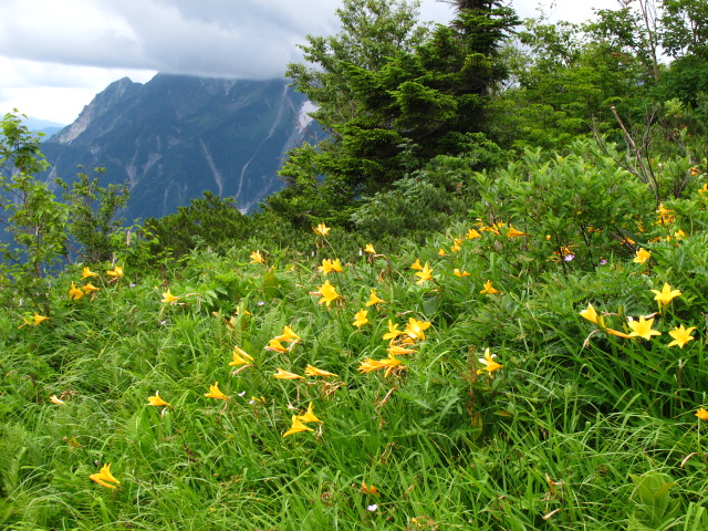 常念岳　蝶ガ岳　　 　その3　常念岳～蝶が岳_c0171790_2202569.jpg