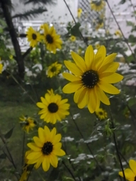 f0227590_12172669.jpg