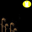 b0101991_6253528.png