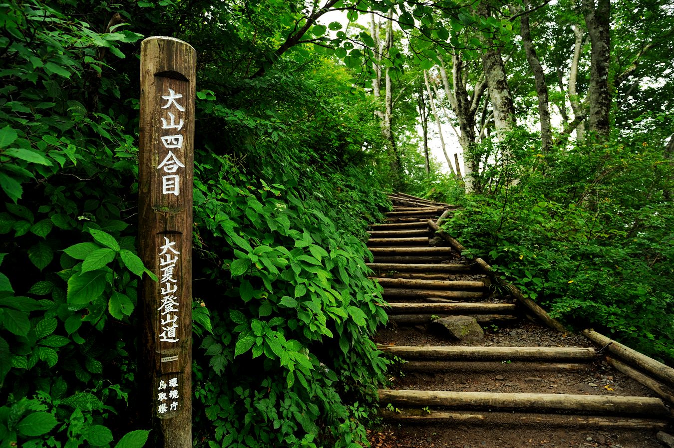 大山(弥山 1709m)無雪期11回目_c0138991_22135047.jpg