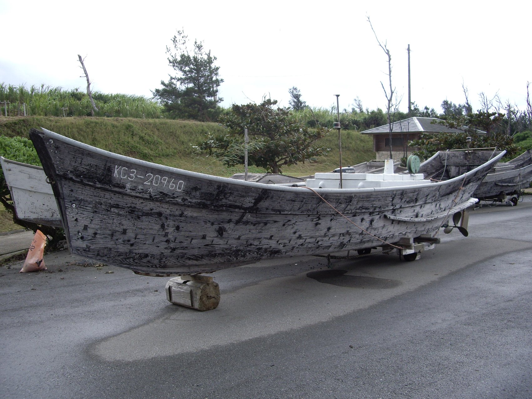 変わりゆく島の漁業_e0032991_10424859.jpg