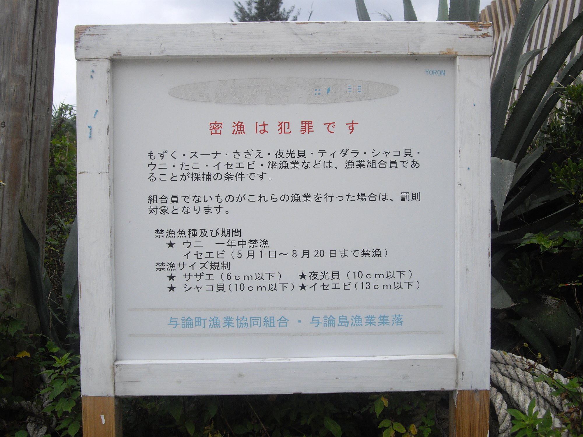 変わりゆく島の漁業_e0032991_10441358.jpg