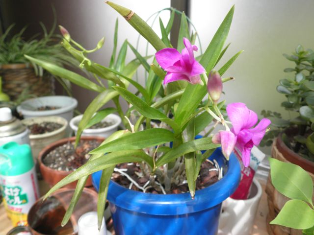 f0130894_21495746.jpg