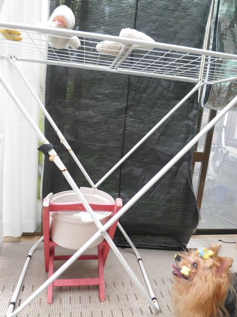 f0130894_21521697.jpg