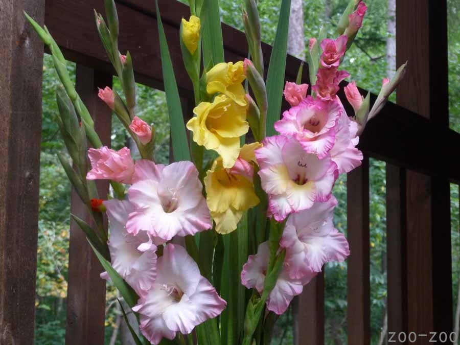 豪華!!_c0223095_1645417.jpg